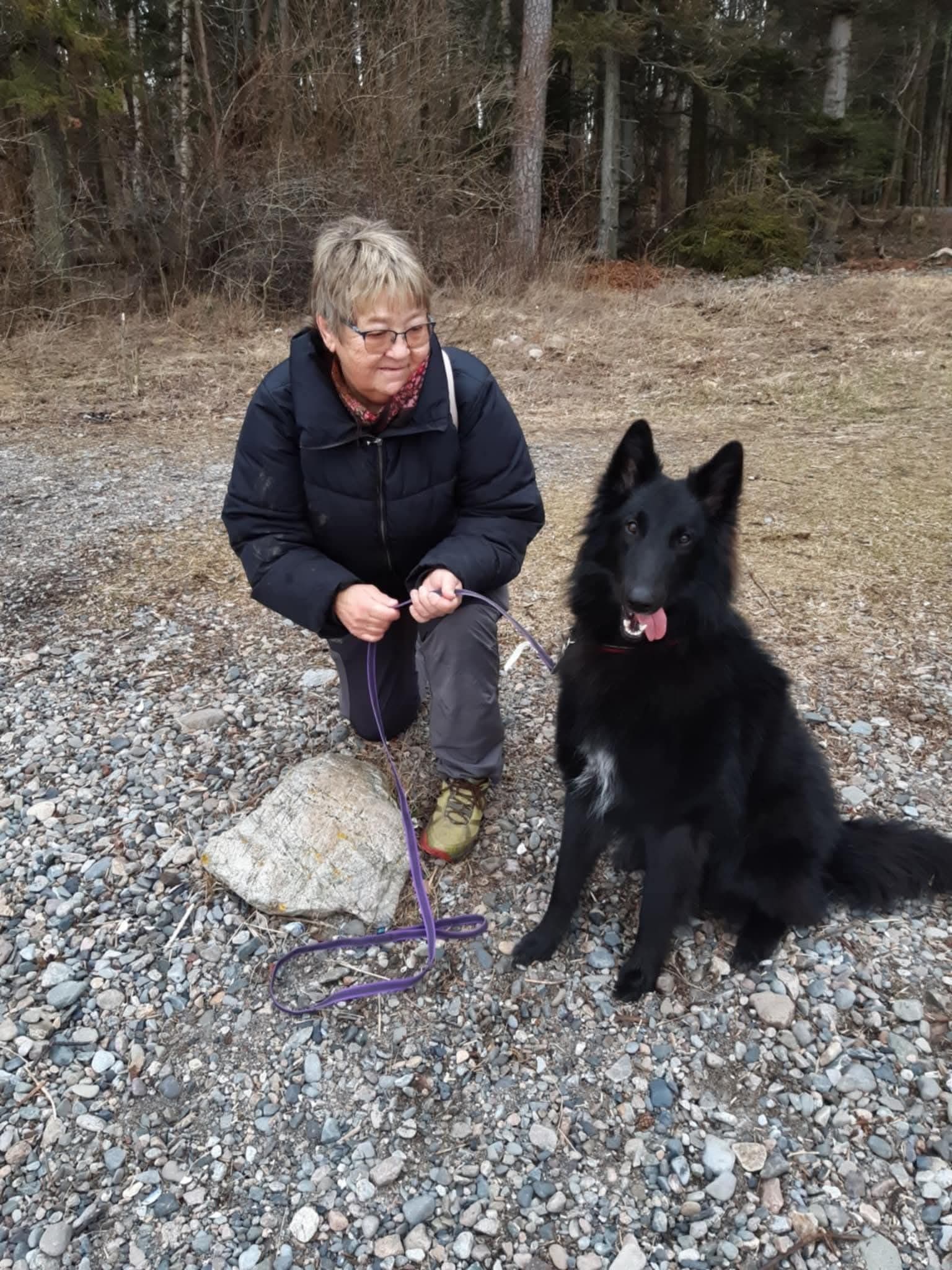 Endeavour av Vikholmen